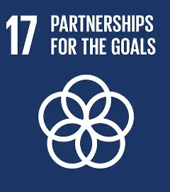 sdg 17